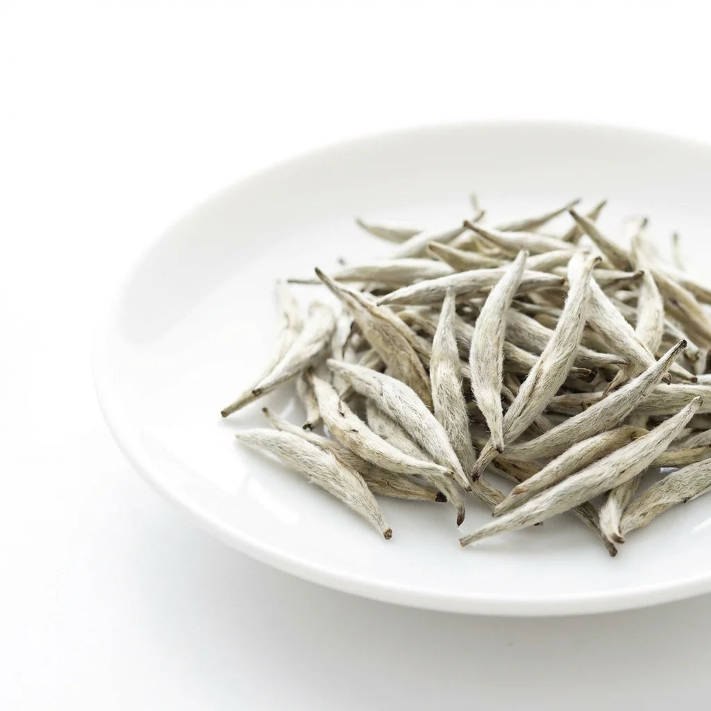 Aged Silver Needle White Tea - Luxury Bulk for High-End Gifting